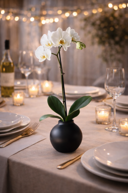 Tek Dallı Beyaz Orkide – Bodrum Aynı Gün Teslim
