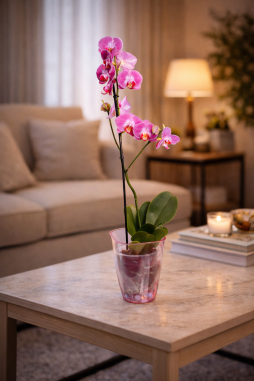 Tek Dallı Pembe Orkide – Bodrum Aynı Gün Teslim